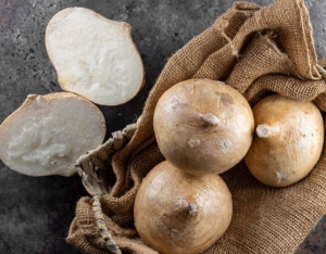 jicama seeds