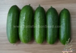 5 fruit cluster russian cucumber seeds