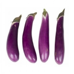 long japanese eggplant seeds